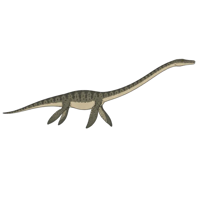 Tanystropheus