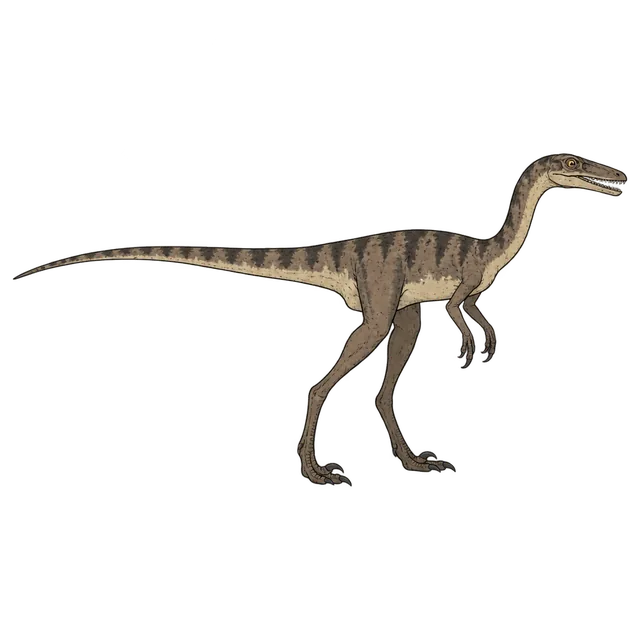 Coelophysis