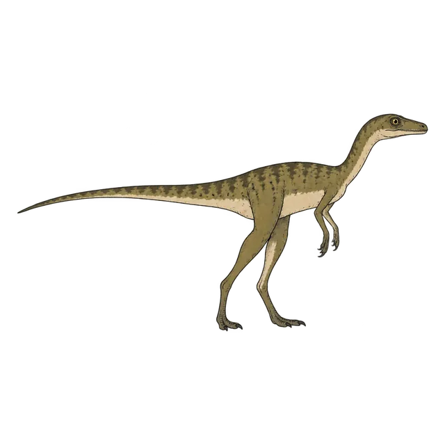 Compsognathus
