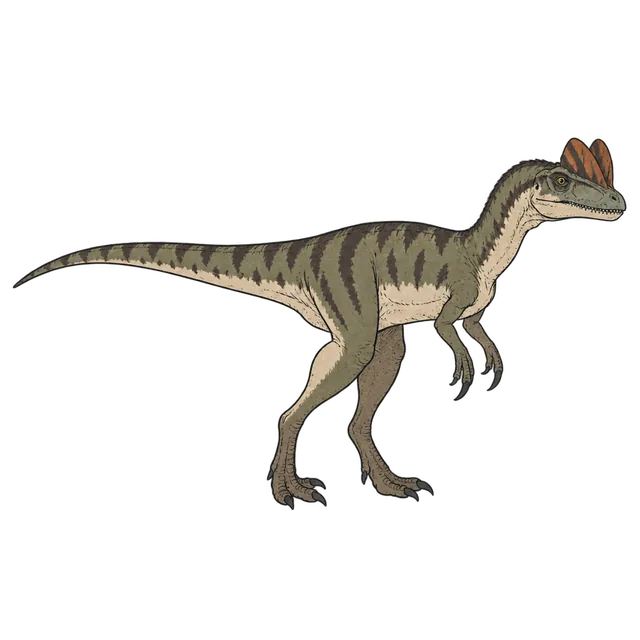 Dilophosaurus