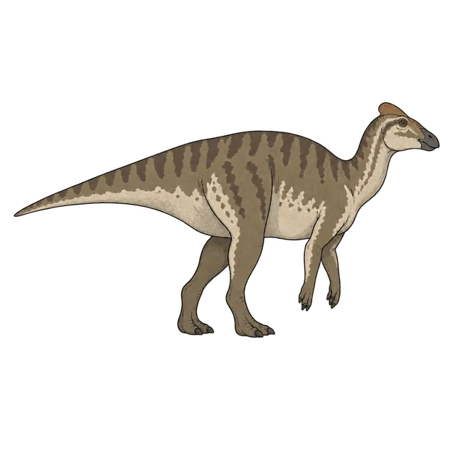 Maiasaura