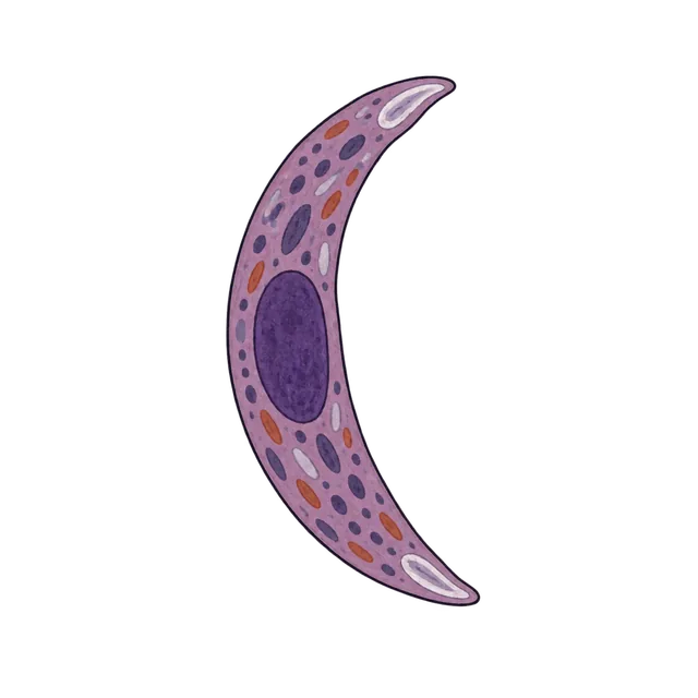 Plasmodium