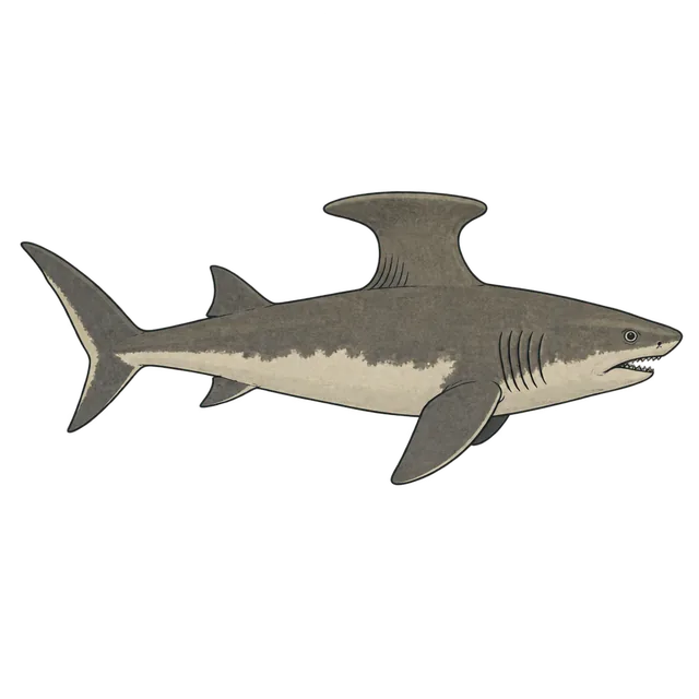 Stethacanthus